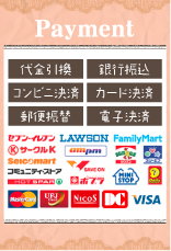 Payment
